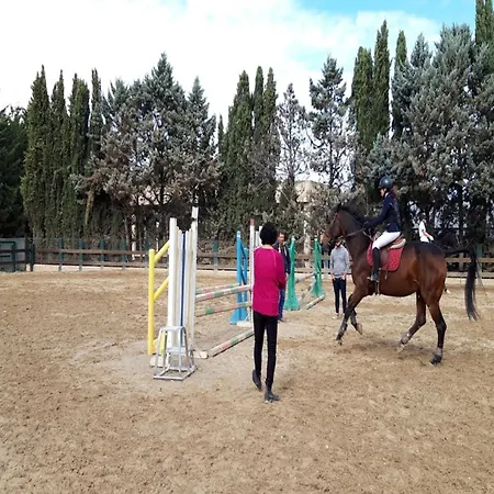 Of The Nations, Parking , 9min Airport & Sea Bitonto